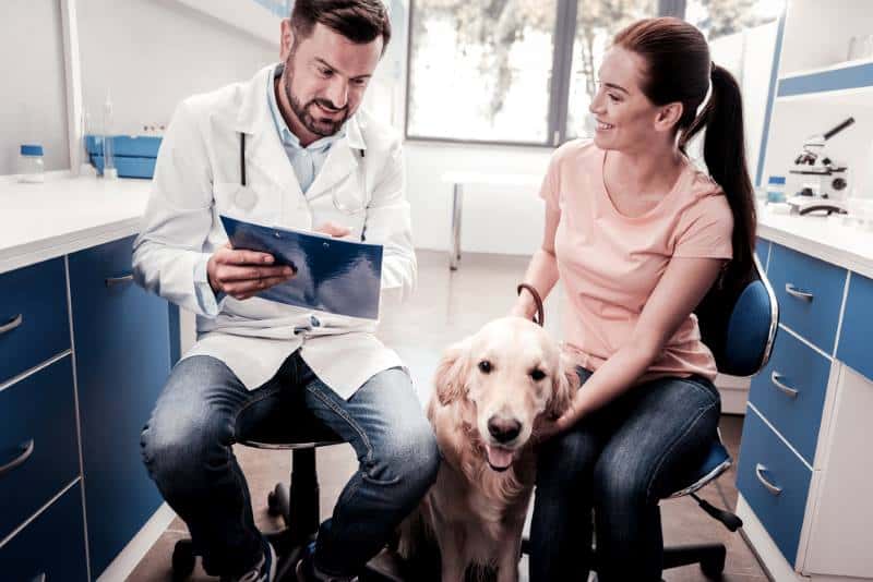 woman in a doctor's room with an emotional support dog next to her. The doctor and woman are looking at a clipboard. 