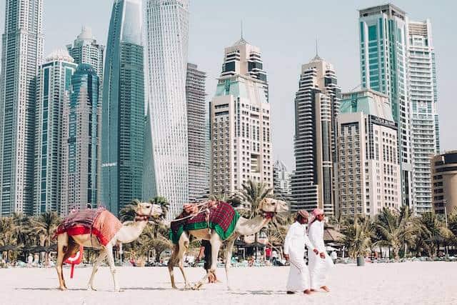 Online Therapy Dubai: Men pulling camels